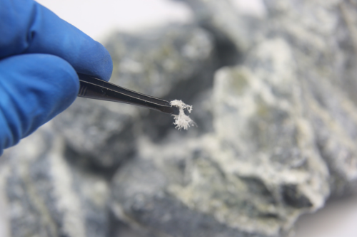 Piece of asbestos on tweezers